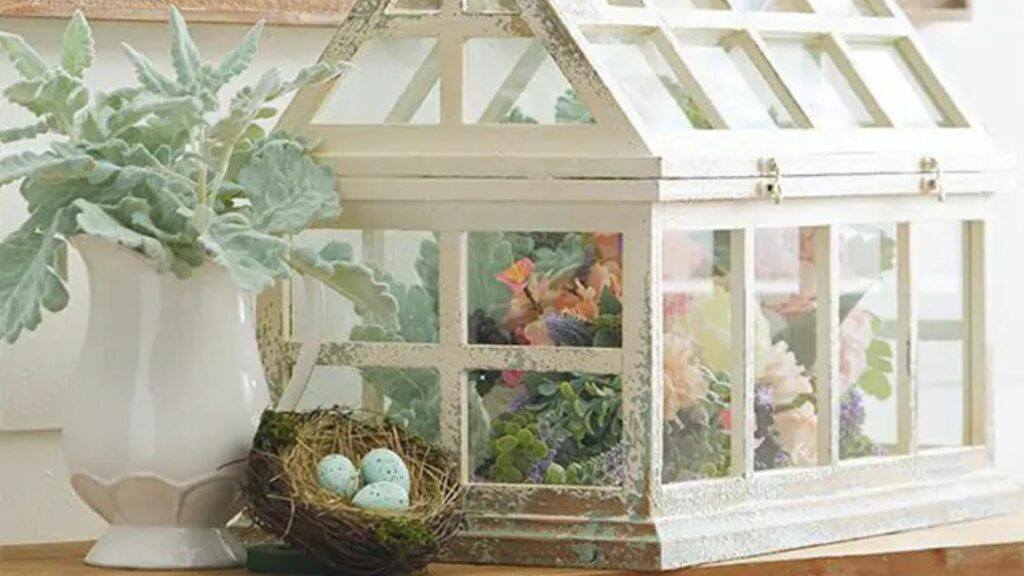 White-Tabletop-Terrarium-24-Inch