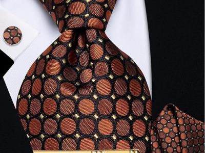 Silk Ties for Men Paisley Floral Striped Necktie and Pocket Square Cufflinks Tie Clip Set