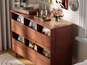 Premium Record Display Cabinet