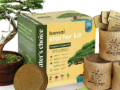 Bonsai-Starter-Kit-Gardening-Gifts-for-Women-Men-Unique-DIY-Hobbies-Crafts-Hobby-Kits-for-Adults.jpg