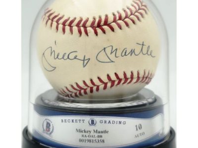 Hold the Moment Hold the Moment