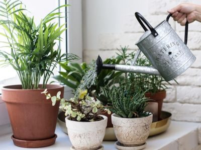 Vintage Watering Can