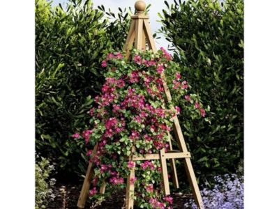 Wood Garden Terris Wood Garden Terris